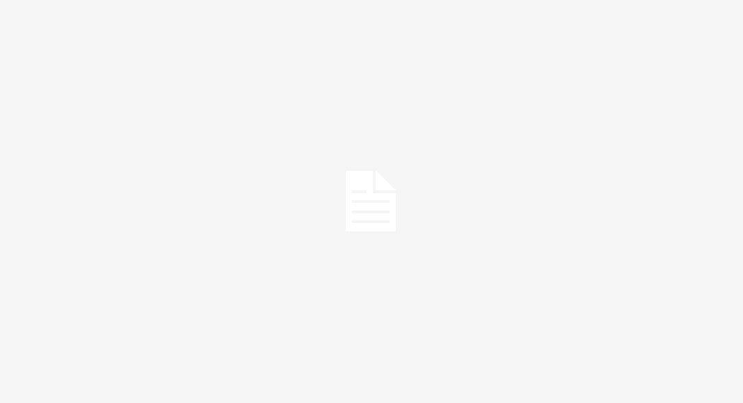 Literatur Template 1 Literatur Template 1