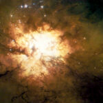 Nebel aus “Brother” (Szenenbild: CBS)