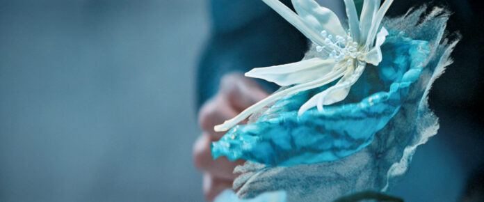 Blume auf Talos IV in "If Memory Serves" (Szenenbild: "Discovery" 2x08, CBS)