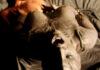 Meinung: Sex und Gewalt in “Star Trek” – auf den Fersen von “Game of Thrones” und Co.?