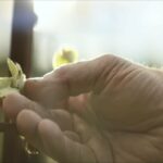 “Star Trek: Picard” (Szenenbild: CBS)