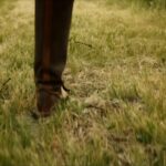 “Star Trek: Picard” (Szenenbild: CBS)