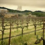 “Star Trek: Picard” (Szenenbild: CBS)