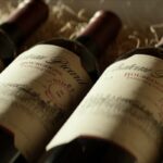 “Star Trek: Picard” (Szenenbild: CBS)