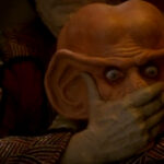 Quarks Schicksal