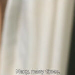 Trailer2
