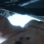 Trailer36