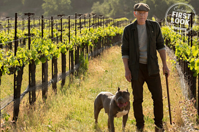 Picard und "Nummer Eins" auf dem Weingut (Photo: CBS, via EW)
