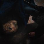 DSC_S4_TRAILER_46