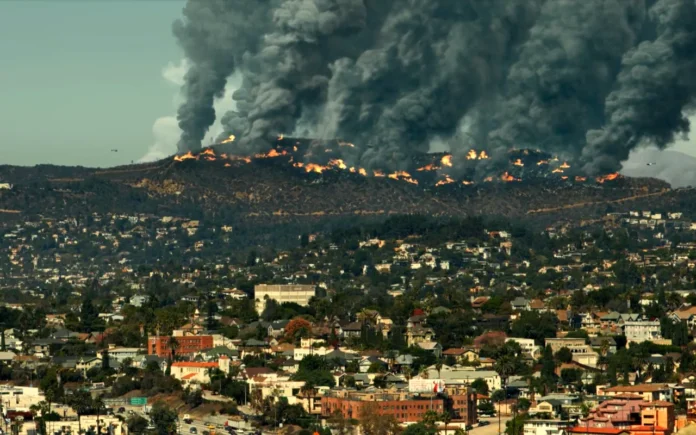 pic-2-03-waldbrand Waldbrand in "Assimilation"