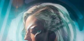 Rezension: “Star Trek – Picard: Fenris-Ranger” Fenris-Ranger (Cross-cult.de)