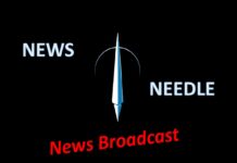 News Needle August 2024: Ein heißer und kühler (Kryo)-Sommer