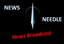 News Needle März 2024: Wahl der Sonden