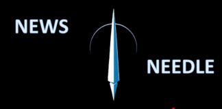 News Needle März 2024: Wahl der Sonden